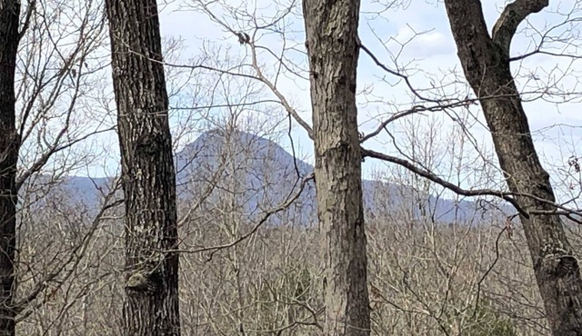 Nestled in the Northeast Georgia Mountains.
