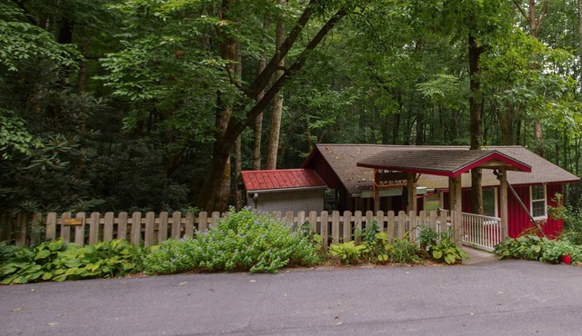 Nestled on Stream - Hot Tub - Grill - Fireplace - Fenced - WiFi - Pets OK