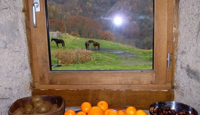 Nestled snugly into the foothills of the French Hautes-Pyrenees.