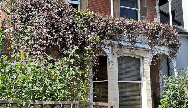 Nestleton: Breakfast on the balcony or snuggle around the fire-dogs welcome too