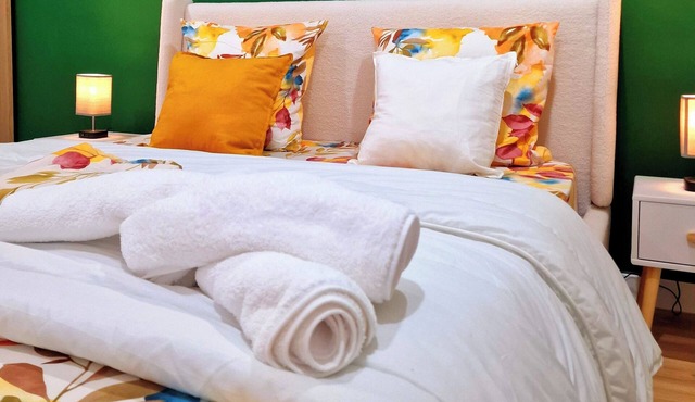 Netflix Bergson & stade guichard & Cité du Design & zénith de Saint-Étienne