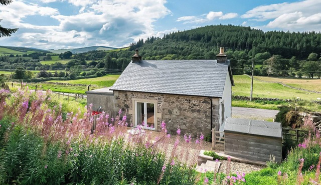 Nettlebush Cottage-UK5629