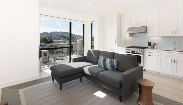 New 1 Bedroom Condo in the Mission - San Francisco Life Real Estate