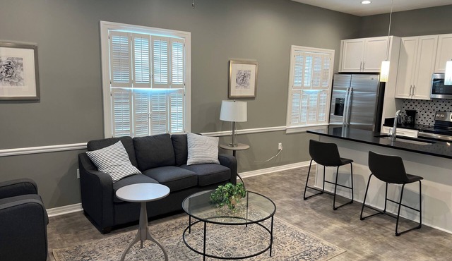 New, 1 BR Executive Apartment in Downtown Pascagoula