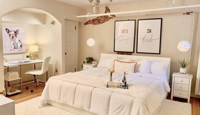 ⭐️New 1Br Luxury Condo near Park & Downtown ⭐️
