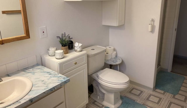 New 2 Bed 1 Bath, Comfortable & Convenient !