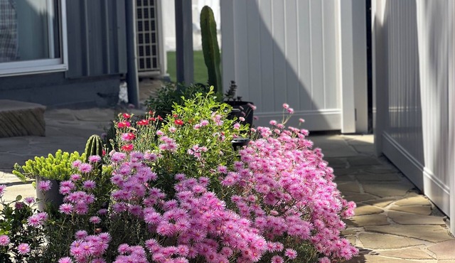 NEW 2 bed, walk to everything!