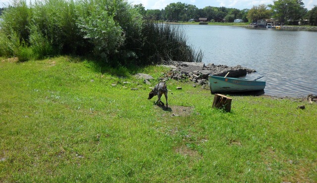 NEW! 4 Acre Lakefront Cabin in the Tall Pines