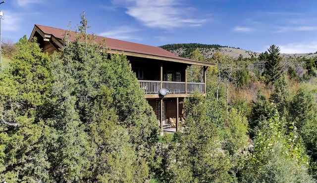 NEW AIR COND. CREEK-SIDE CABIN ON WOODED LOT IN HISTORIC VIRGINIA CITY, MONTANA