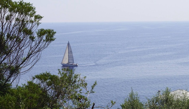 New apartment Cap Corse 2mn walk from the beach sea view