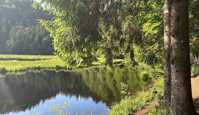 NEW APARTMENT 5 minutes by car from alpine, nordic & lake ski slopes.