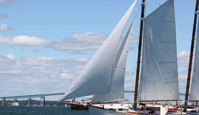 New Beach Rose Boutique Cottage on the beach