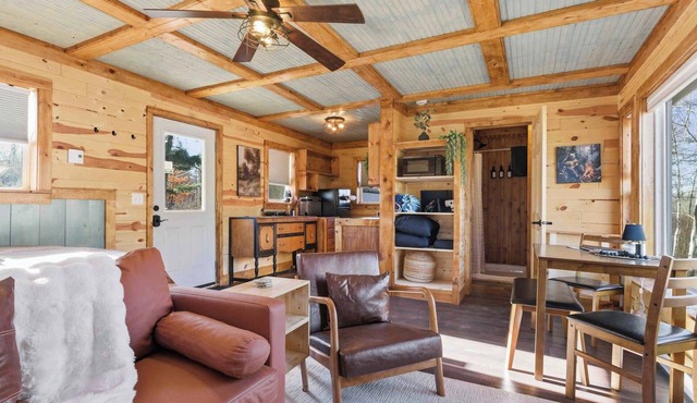 NEW! BEAR Necessities tiny home, outdoor theater!