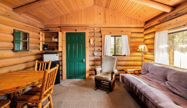New! Bears Den Log Cabin, Mountain views, firepit