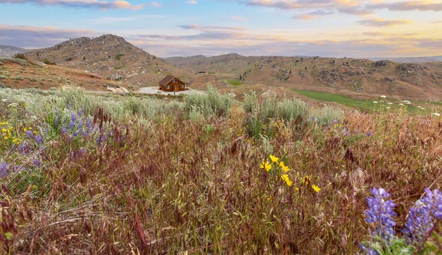 NEW: Beautiful Mountain Views, Abundant Wildlife & Dark, Dark Skies