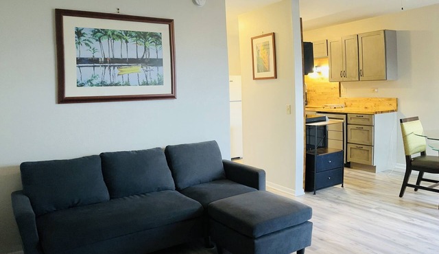 New, beautifully remodeled and tastefully furnished downtown Hilo apt
