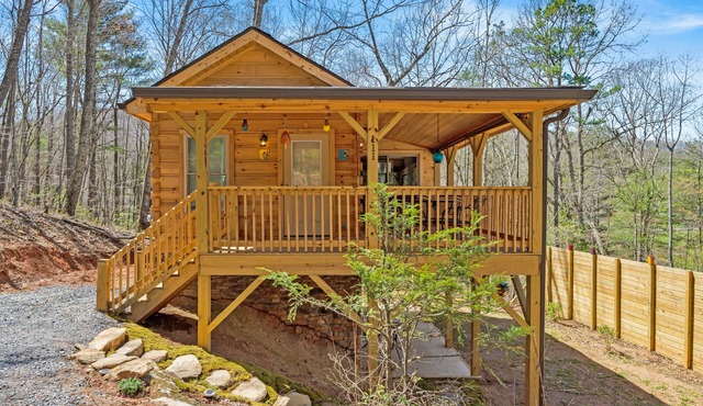 NEW Cabin 15 min to Asheville with Blue Mountain Views!