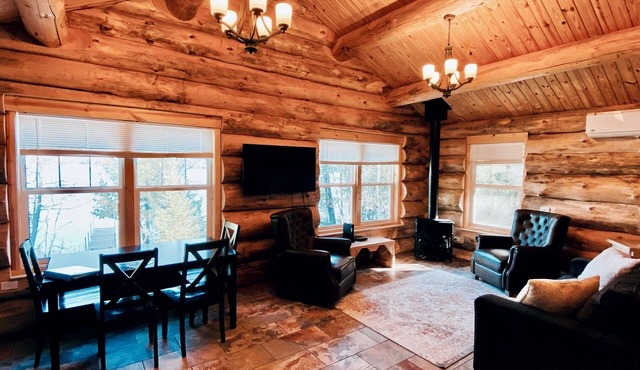 NEW CABIN W/LAKE VIEW! 2PersonJacuzzi.GasFireplace.Beach.Patio.Wifi.Kayaks.Canoe