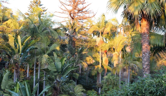 NEW! Canyon Retreat w/View. Walk to Beach and Town