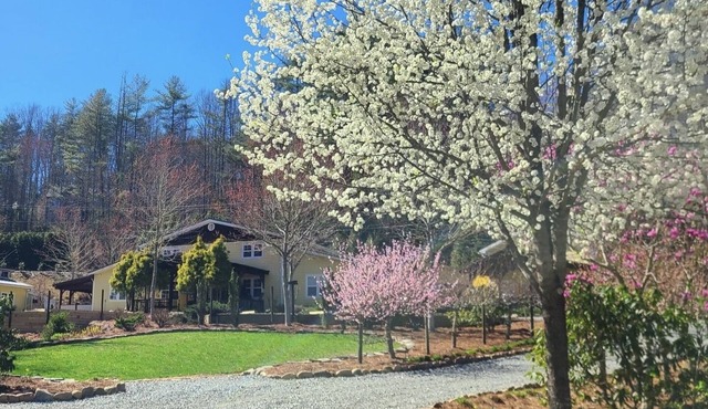 *NEW* “Casa Grande" Discount Rates! Private NEW HOT TUB, POOL TABLE, BASKE