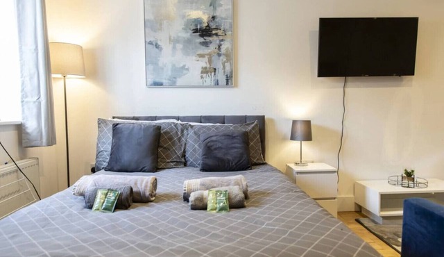 NEW! Central Studio w/Sofa Bed & Pet-Friendly