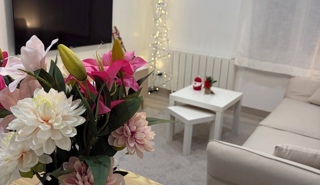 New - charming apartment ideally located