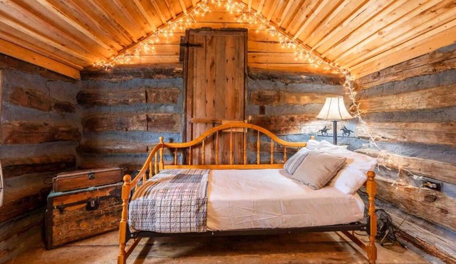 New! Charming Cabin in Colorado National Forest