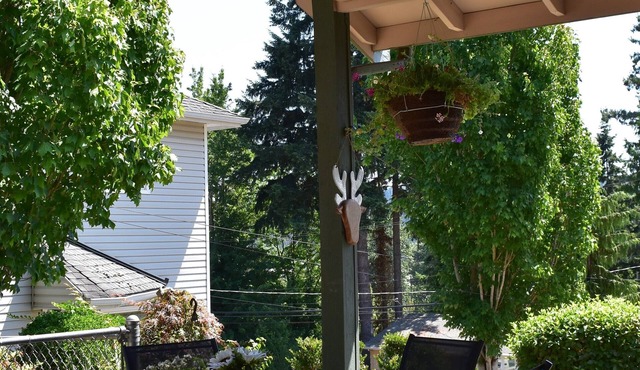 New Charming Lakeview Cottage in Downtown Kenmore