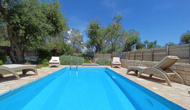 NEW - Charming typical house with private pool in an olive garden