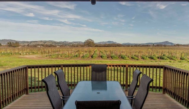 NEW! Charming Vineyard Cottage in the heart of the Russian river wine country!