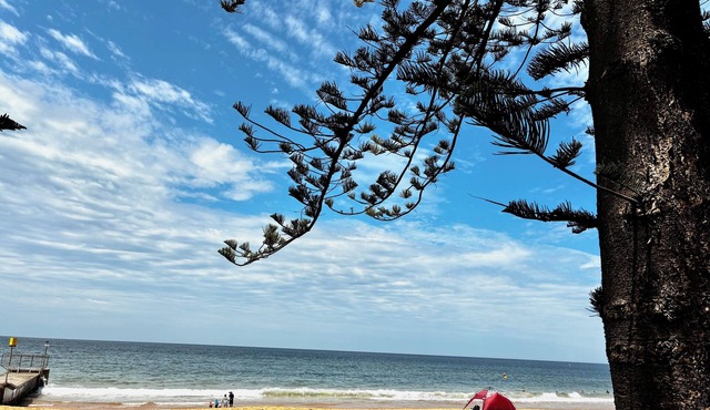 *New* Collaroy 3 B/R Northern Beaches Spacious & Renovated Beach House