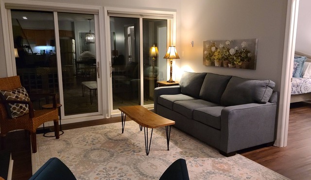 New construction! 1 BD/2 BA Top of Wintergreen mountain. Sleeps 4, pet-friendly