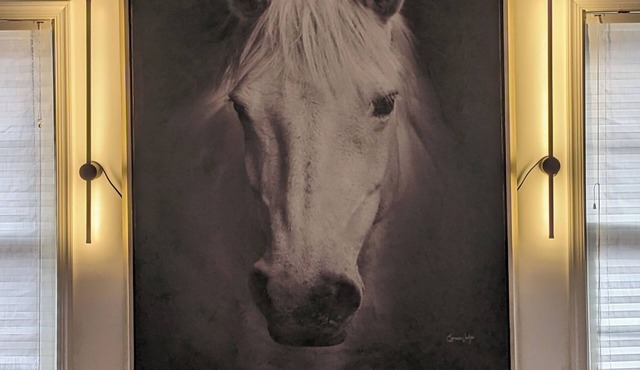 New Construction townhome close to everything downtown w/transparent pricing