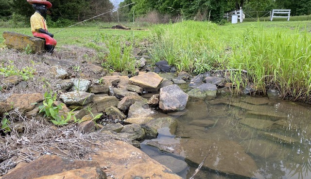 NEW- Country Livin—Fishing, Horse Riding , Wildlife, Fort Gibson Lake, Huge Yard