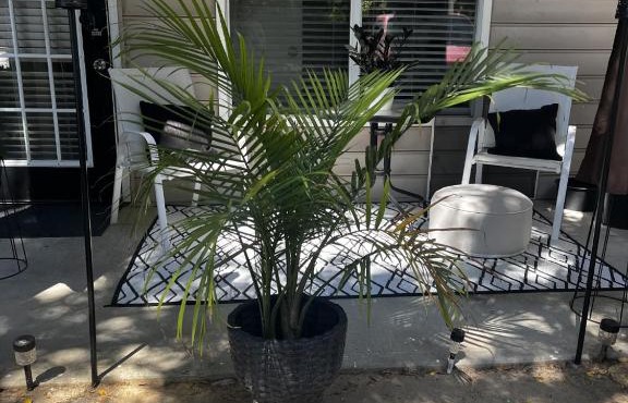 New Cozy 1 Califonia King Size Bed with Small sitting Area & Private Bathroom wit Private Entrance! With Free Parking outside Unit! 45 mins away from Airport!