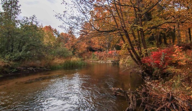 NEW! Cozy 3-bedroom 2-bath, 175 ft on Betsie River, 1 mile to Crystal Mountain