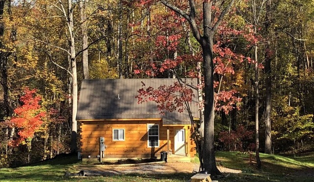 NEW! COZY 6 Guest Cabin in Damascus, VA-CLOSE to Creeper Trial! PET FRIENDLY