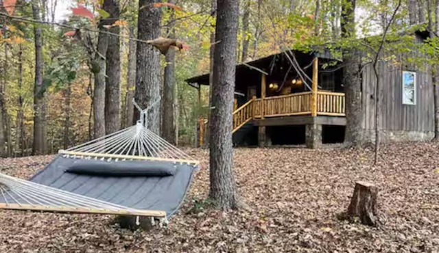 New Cozy Cabin in the Blue Ridge Mountains, Wineries, Private & Secluded