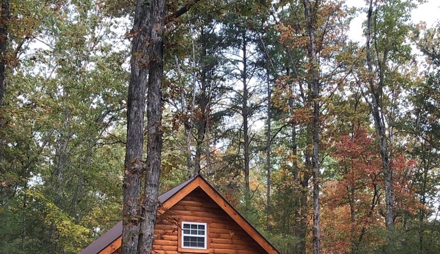 New Cozy Cabin In The Woods