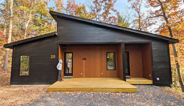 New Cozy Cabin in Shenandoah Virginia, WiFi, EV, Games