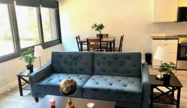 New Cozy exquisite condo in downtown Silver Spring