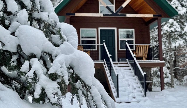 New Cozy Tiny Cabin Nestled in the Hiawatha National Forest