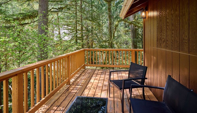 NEW - Cozy Waterfront Cabin Nestled in the Forest - King beds/AC/Fast Wi-fi