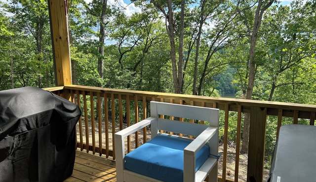 New, Craftsman bungalow. Porch with fireplace, hot tub, wooded, lake view