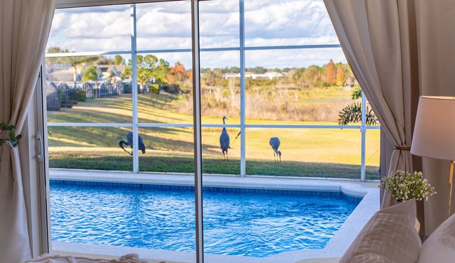 New! Delightful Retreat close to Disney - 2 Kings. Free heated pool.