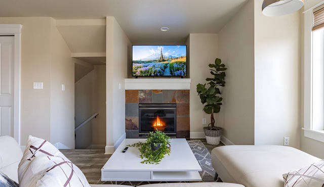 NEW! Eastlake 3 br | fast wifi and views!| Sophari