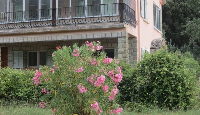 NEW EGLANTINE STUDIO GITE