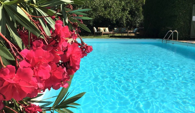 New ! Enchanting Villa 4 bedrooms 4 bathrooms