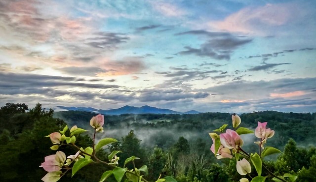 NEW! Epic mountain view, 24 minutes to Downtown Asheville, NC