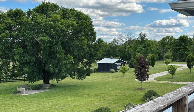New Extraordinary Horse Farm Stay On Bourbon Trail